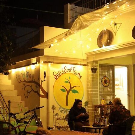 Sun N Soil Backpacker Hostel Lachhiwala Εξωτερικό φωτογραφία
