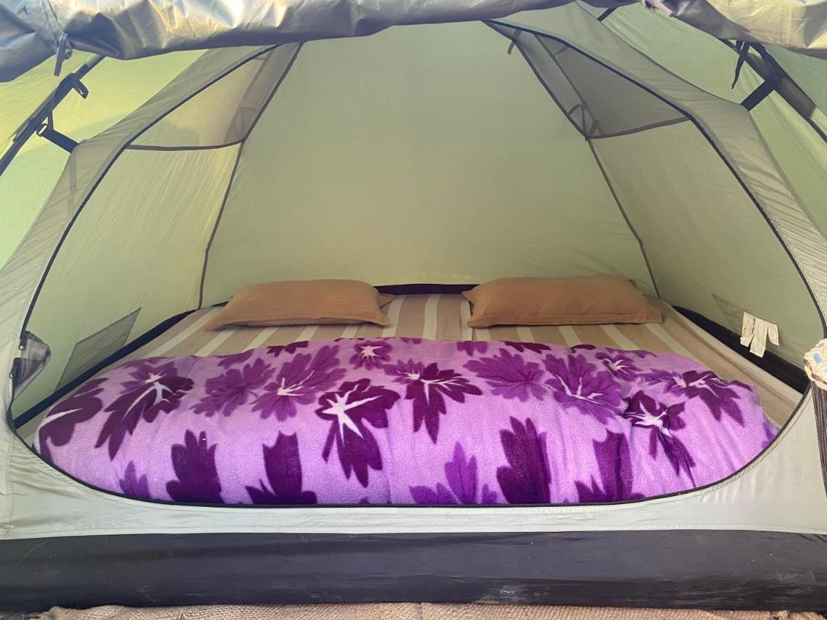 Sun N Soil Backpacker Hostel Lachhiwala Εξωτερικό φωτογραφία