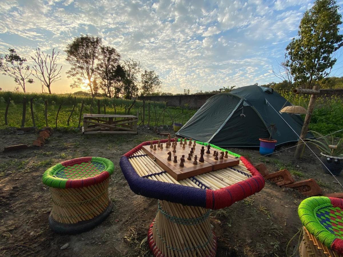 Sun N Soil Backpacker Hostel Lachhiwala Εξωτερικό φωτογραφία
