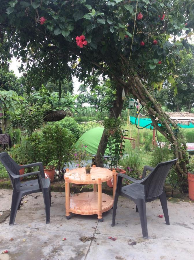 Sun N Soil Backpacker Hostel Lachhiwala Εξωτερικό φωτογραφία