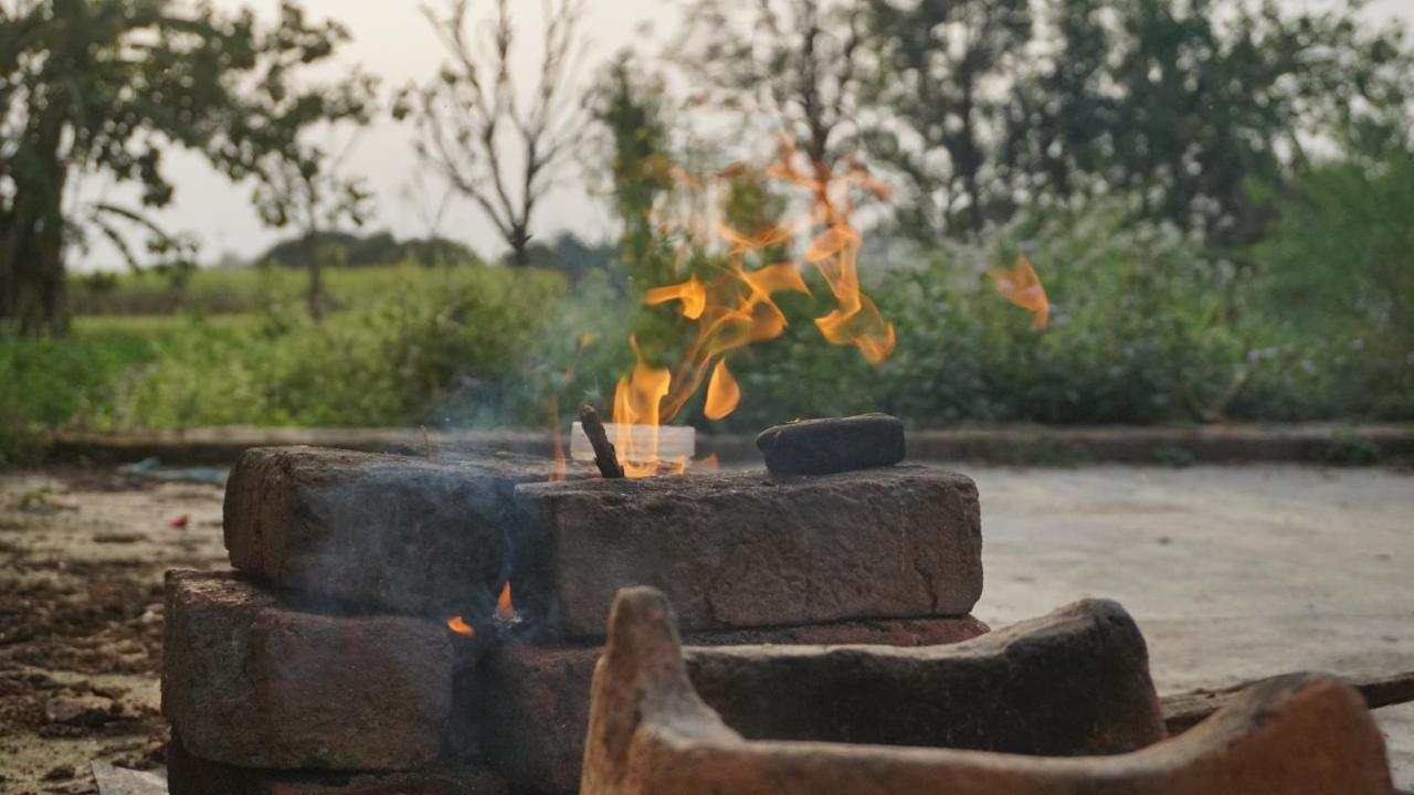 Sun N Soil Backpacker Hostel Lachhiwala Εξωτερικό φωτογραφία