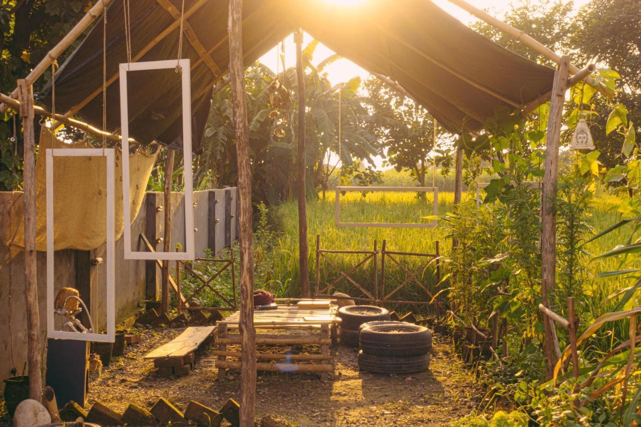 Sun N Soil Backpacker Hostel Lachhiwala Εξωτερικό φωτογραφία