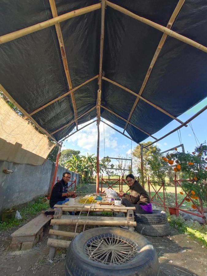 Sun N Soil Backpacker Hostel Lachhiwala Εξωτερικό φωτογραφία